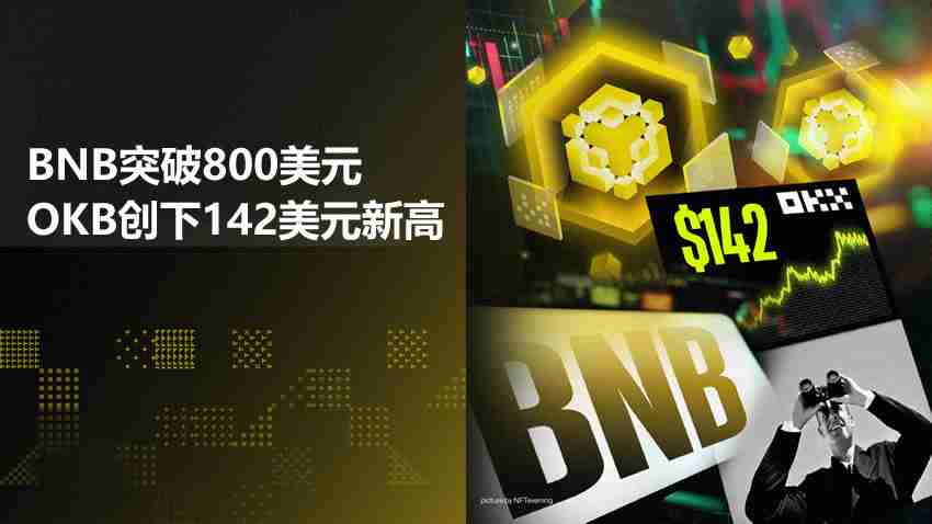 CEX代币突破:BNB突破800美元,OKB创下142美元新高